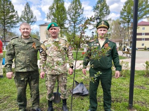 В Заинске на бульваре Победы высадили декоративные яблони к 9 Мая