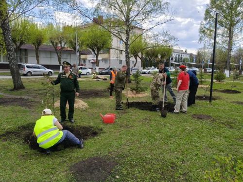 В Заинске на бульваре Победы высадили декоративные яблони к 9 Мая