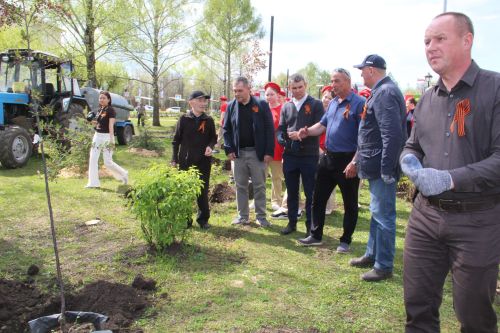 В Заинске на бульваре Победы высадили декоративные яблони к 9 Мая