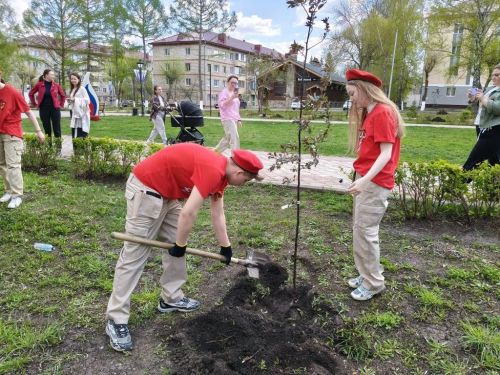 В Заинске на бульваре Победы высадили декоративные яблони к 9 Мая