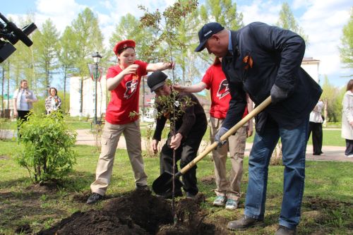 В Заинске на бульваре Победы высадили декоративные яблони к 9 Мая