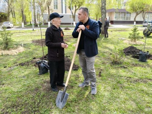 В Заинске на бульваре Победы высадили декоративные яблони к 9 Мая