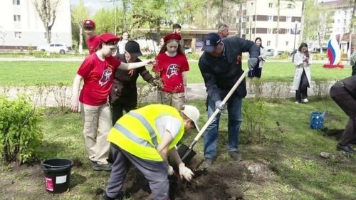 81 яблоня в честь 81-ой годовщины Великой Победы