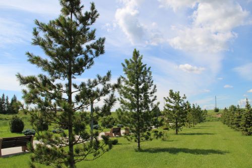 Зәйдә җитәкчеләр күләмле төзелеш эшләре алып барылучы объектларны карады