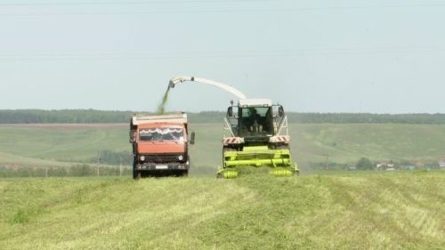Зәй аграрийлары терлек азыгы әзерләү чорына җаваплы карады