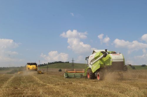 Зәйдә тулы куәттә урып-җыю эшен башладылар