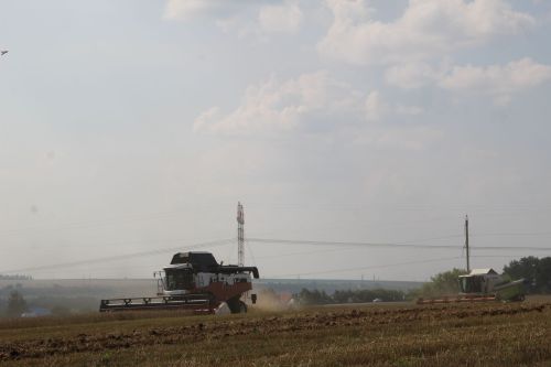 Зәйдә тулы куәттә урып-җыю эшен башладылар