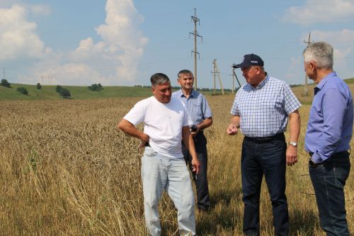 Зәйдә тулы куәттә урып-җыю эшен башладылар