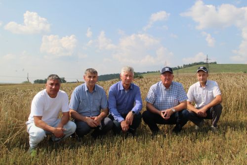 Заинские хлеборобы приступили к уборке урожая-2026