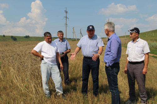 Заинские хлеборобы приступили к уборке урожая-2026