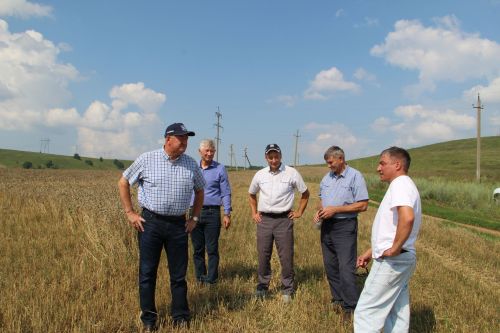Заинские хлеборобы приступили к уборке урожая-2026