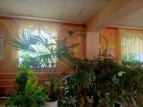 Имәнлебаш мәдәният йорты гөл-чәчәкләргә күмелгән