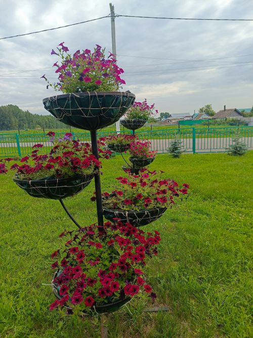 Имәнлебаш мәдәният йорты гөл-чәчәкләргә күмелгән