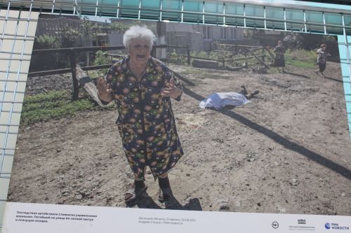 «Ачы хакыйкатьне саклый торган кадрлар»: Зәйдә фотокүргәзмә ачылды