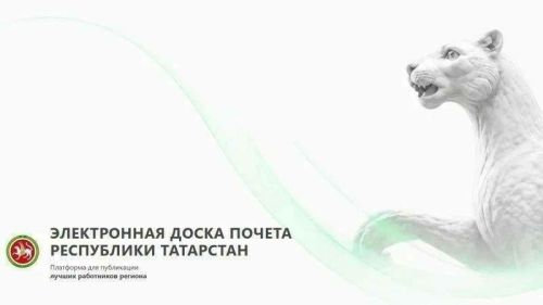 Зәй тренерлары – Татарстанның электрон мактау тактасында