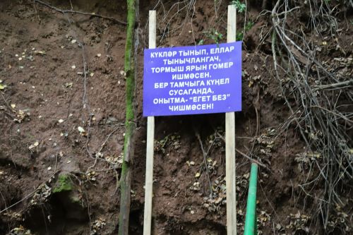 Мөслимнең “Егет без” чишмәсендә Аксар егетләренең дә исемнәре урын алды