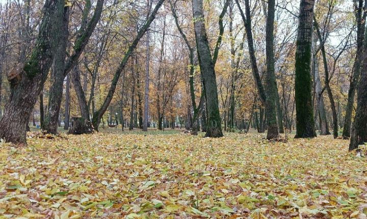 Народные приметы на 22 сентября: что нельзя делать в день Акима и Анны