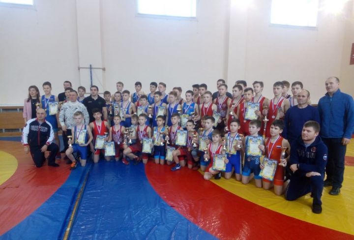 Воспитанники заинской спортшколы стали призерами соревнований по борьбе