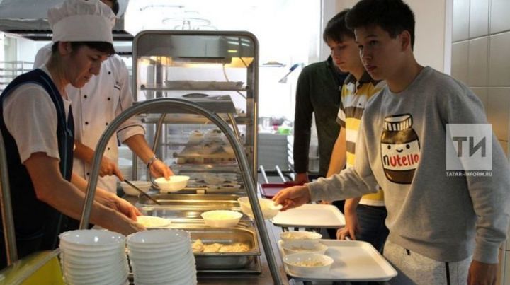 Школы Татарстана обеспечат бесплатным горячим питанием начальные классы