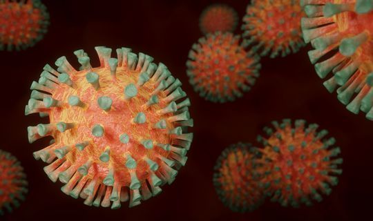 Эксперт назвала болезнь, которая снижает риск заражения коронавирусом