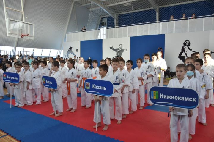 В Заинске проходит турнир по каратэ киокусинкай