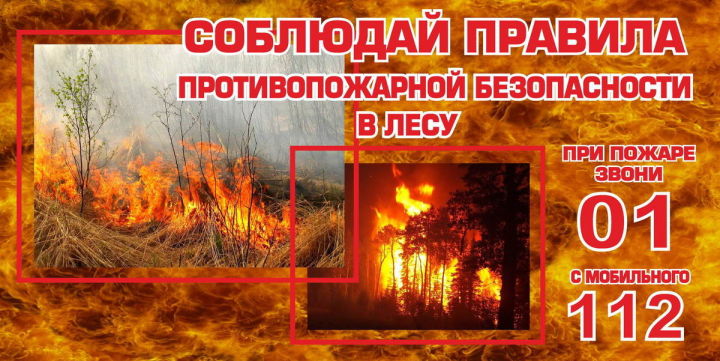 Заинцам напоминают правила пожарной безопасности на природе