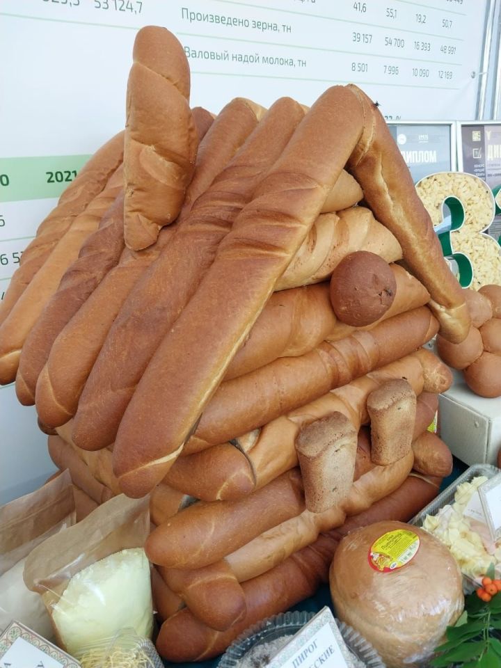 Миниатюрный хлебный дом удивил заинских гостей