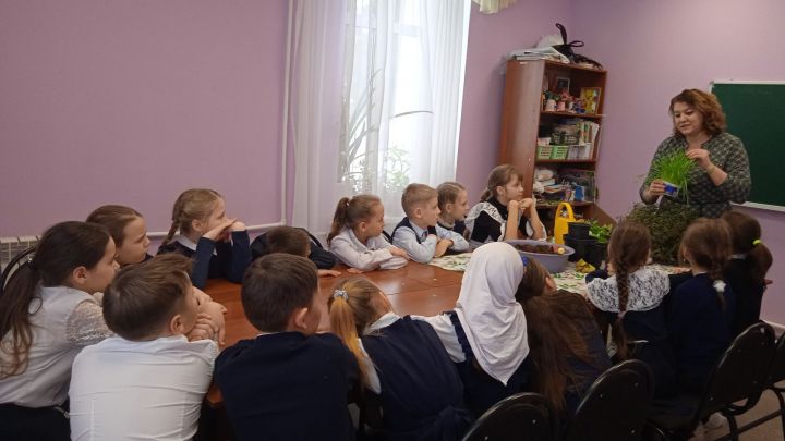 Зәйнең  Мирный бистәсе  мәдәният йортында өй гөлләре  хакында сөйләштеләр