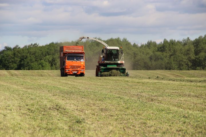 Аграрии Татарстана получили свыше 18 млрд рублей господдержки в 2022 году