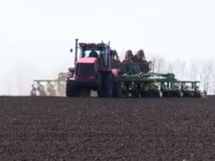 Район кырларында арпа чәчәләр