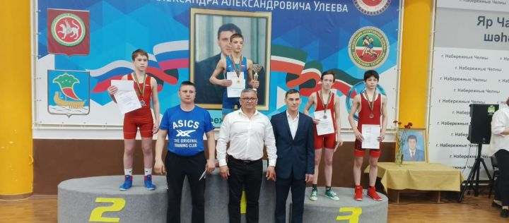 Заинские борцы стали победителями всероссийских соревнований