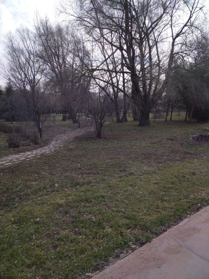 Зәй паркларын талпанга каршы эшкәртәләр
