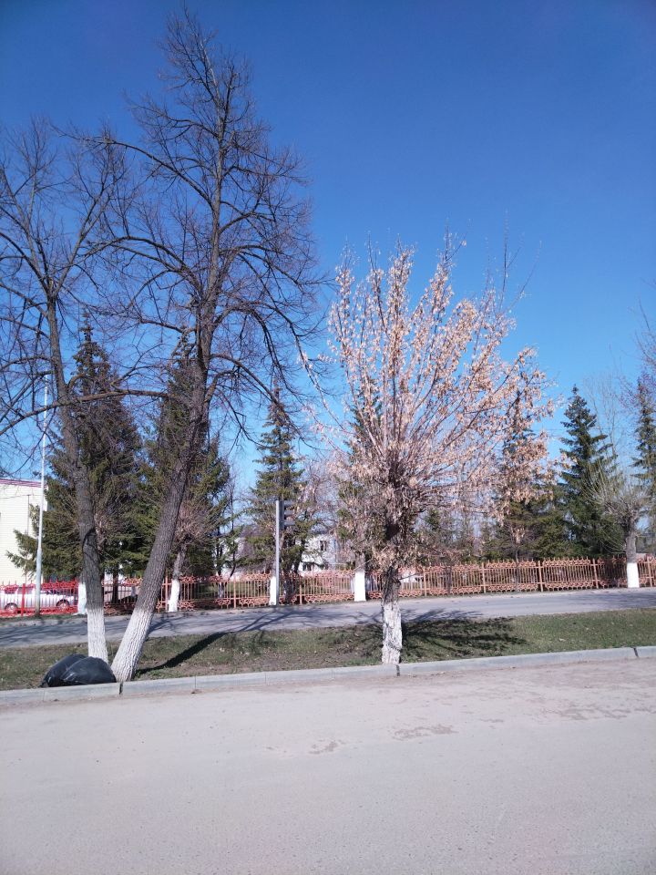 Һава торышы үзгәрә