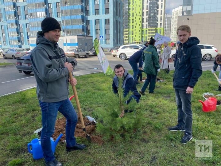 Татарстанда дүртенче тапкыр «Хәтер бакчасы» агач утырту акциясе үтәчәк