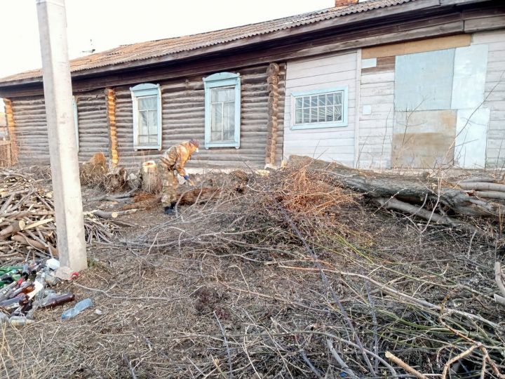 Сухостой, поросль и мусор: жители Заинска убрались на заброшенных участках