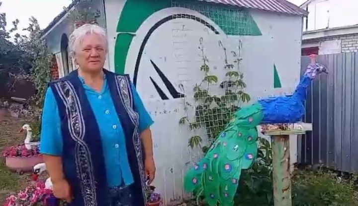 Павлин, журавли и лебеди: жительница Заинского района украсила двор яркими скульптурами