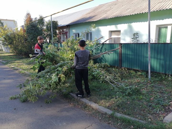 Заинские студенты помогли старшему поколению