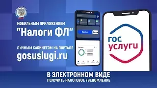 Заплати налоги до 1 декабря