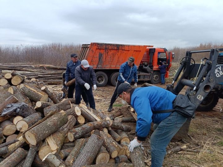 Зәй районында махсус хәрби операциядә катнашучыларның гаиләләренә утын китерәләр