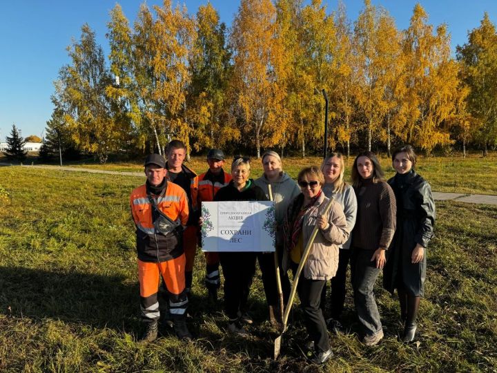 В парке Заинска посадили березы и рябины