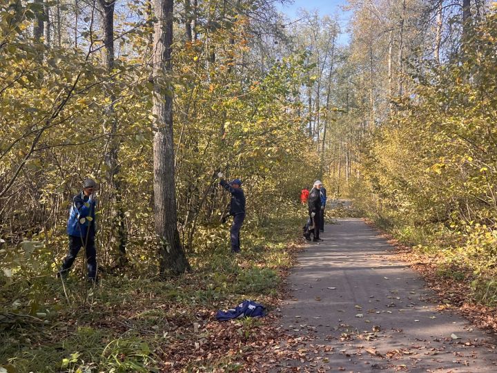 В Заинске начали подготовку лыжной трассы к зимнему сезону