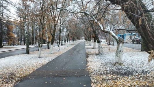 В Заинске выпал первый снег