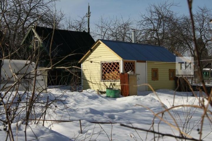 Зима: садовод спасает растения и урожай от грызунов, строит планы на весну