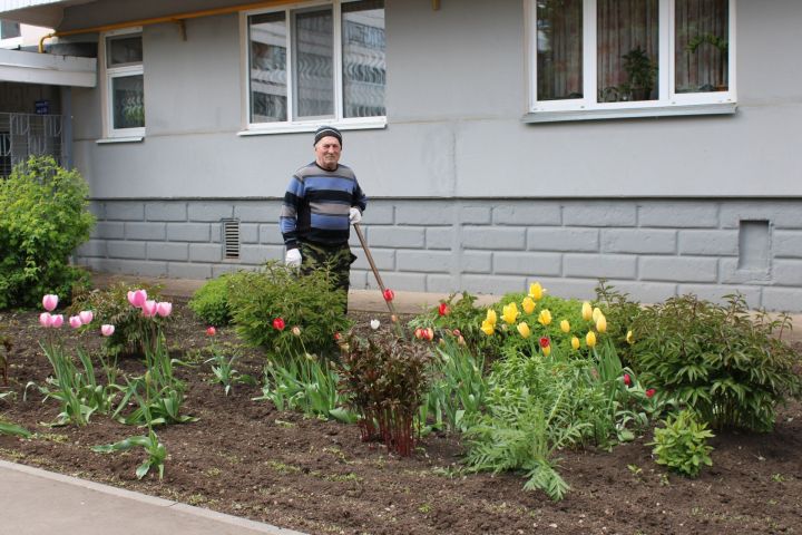 Заинские пенсионеры выращивают красивые цветы у подъезда