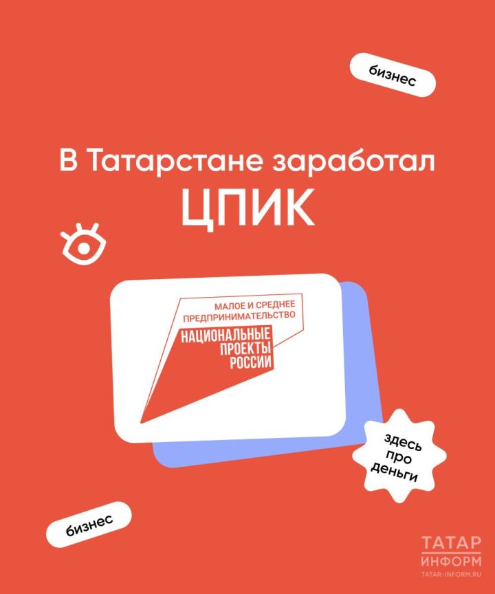 В Татарстане заработал новый сервис для предпринимателей