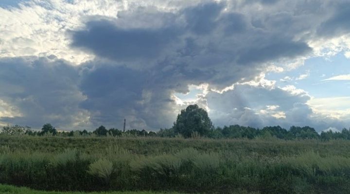 В Татарстане ожидается гроза и 29-градусная жара