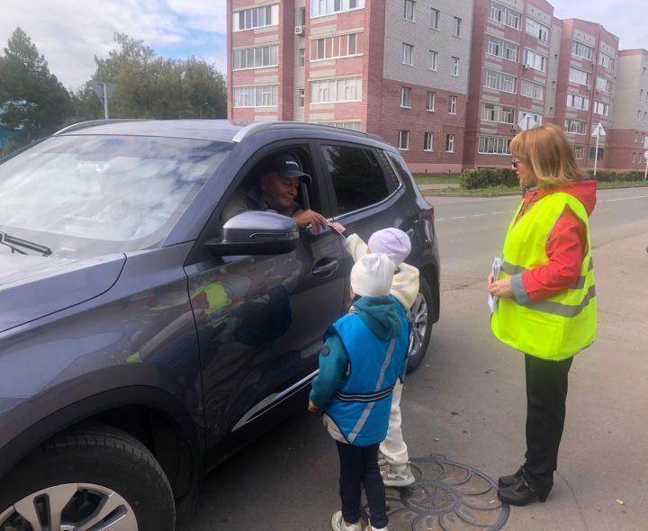 Дошколята призвали заинских водителей вовремя тормозить