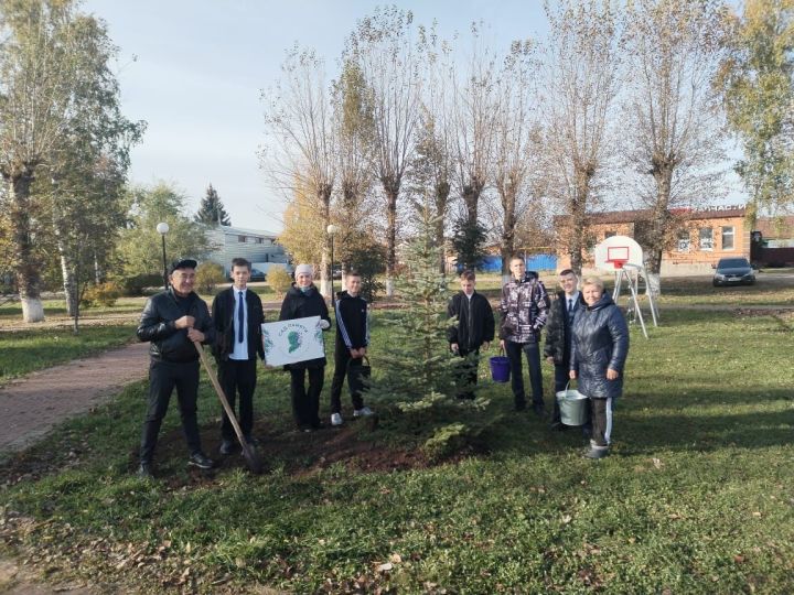 В Заинске высадили «Сад памяти» в честь героев СВО