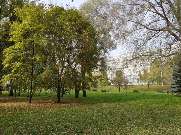 Народные приметы на 8 октября 2025 года: Сергий Курятник и осенние заботы