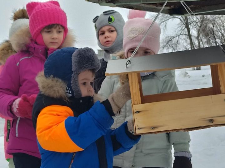 Птицы нуждаются в прикорме